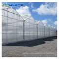 Hydroponics Tomato Growing System Polycarbonate Greenhouse